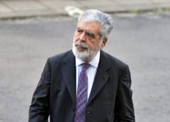 La Justicia le concedió la prisión domiciliaria a Julio De Vido