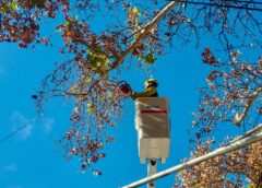Naturgy avanza con podas en San Juan y anuncia cortes de luz programados