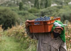 El Gobierno de San Juan refuerza los créditos para el sector agrícola en Punto Pyme