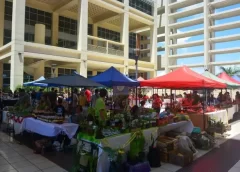 Se realizará la primera edición de la Feria Agroproductiva de junio