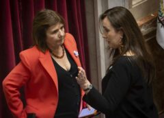 Durísimo cruce entre Villarruel y Bullrich por la Ley de Tierras: «Quieren vender el país»