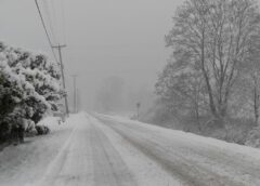 Ola polar: alerta amarilla por frío extremo en 17 provincias
