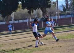 La segunda fase se pone en marcha