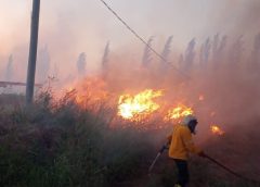 Viento Zonda: El Gobierno asiste a las familias afectadas por los incendios en Pocito