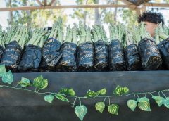 Por el viento Zonda, la Fiesta del Espárrago y el Alcaucil se reprograma para el 4 de octubre