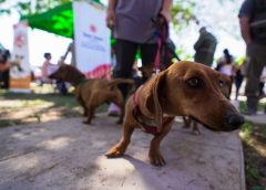 El quirófano móvil de esterilización llega a un nuevo punto de Angaco